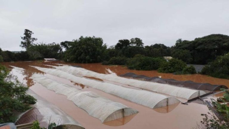 MST понесла убытки в размере 90 миллионов реалов и 420 семей пострадали от дождя