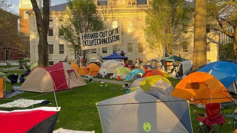 Universidade Harvard