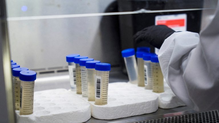 Neetu Chandra Sharma