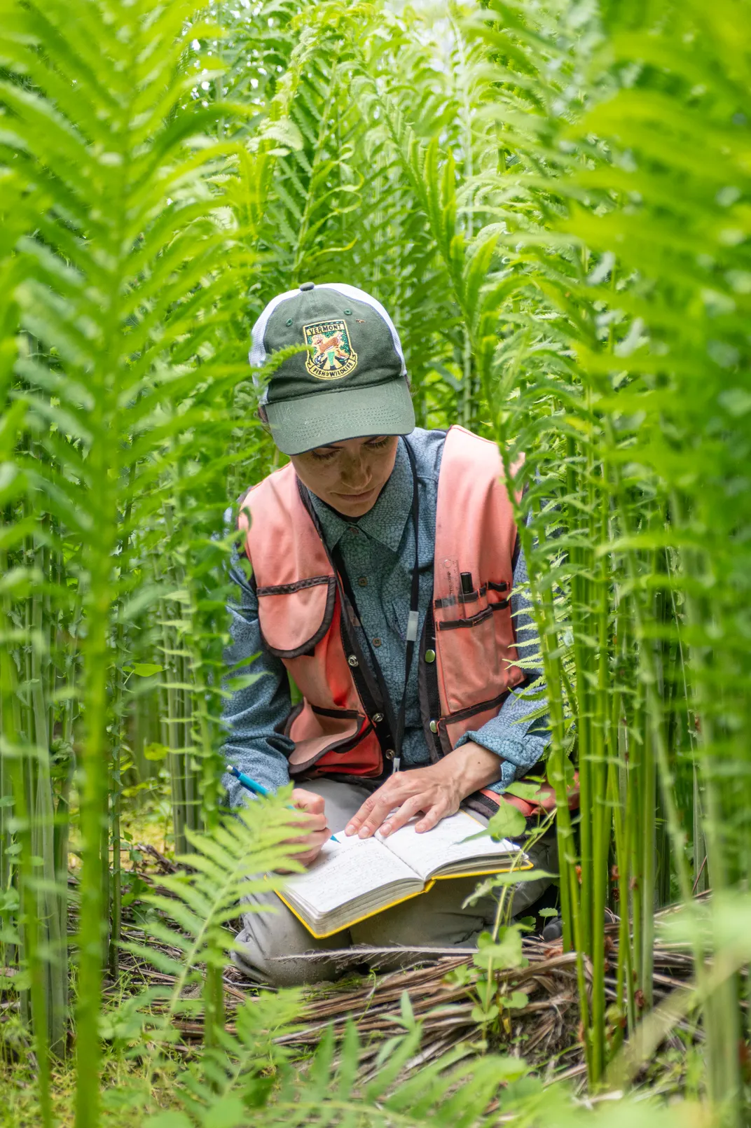 Женщина в бейсболке стоит на коленях среди высоких зеленых растений с блокнотом на коленях