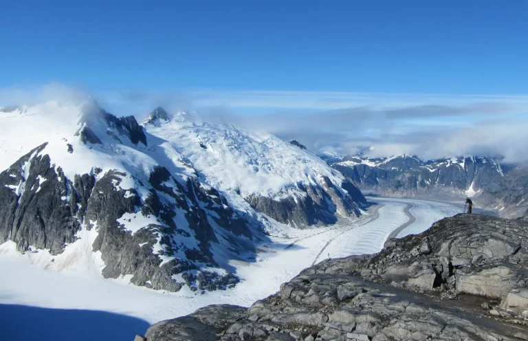 Ледяное поле Джуно на Аляске тает со скоростью 50 000 галлонов в секунду, обнаружили исследователи
