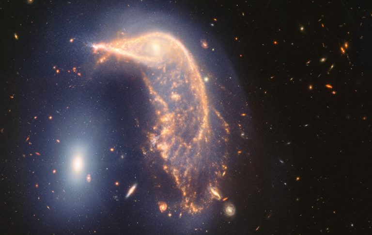 На новейшем изображении Джеймса Уэбба изображен гигантский пингвин и яйцо