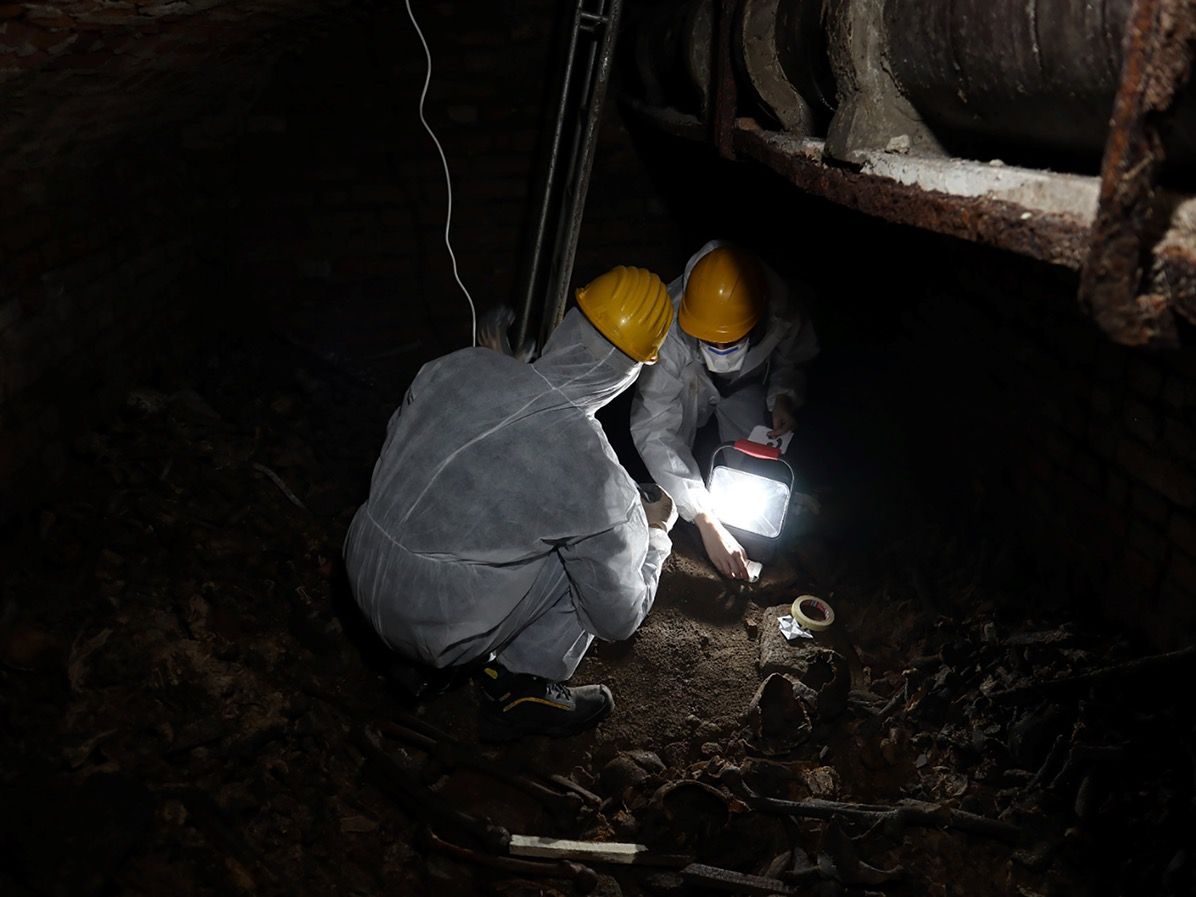 Европейцы употребляли кокаин в 17 веке — на сотни лет раньше, чем считали историки