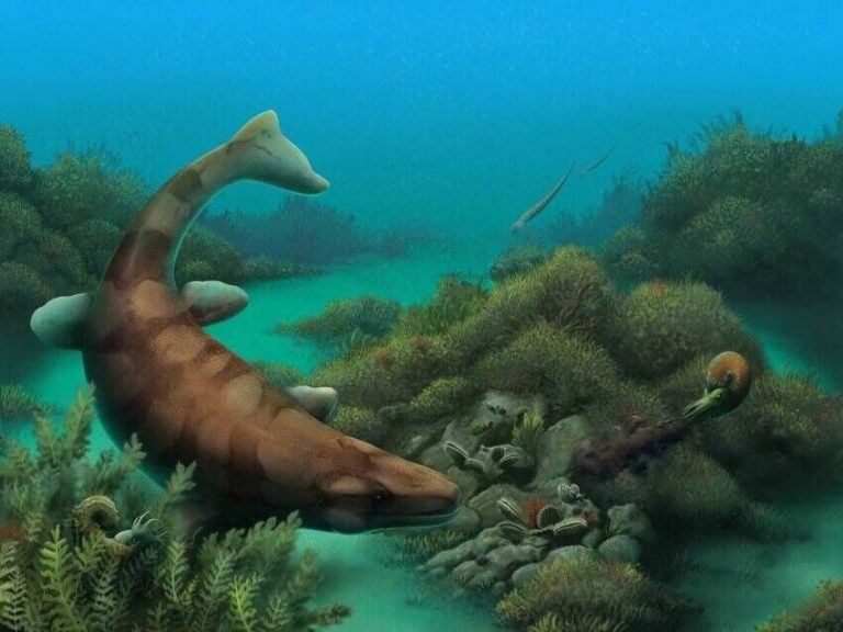 Редкие окаменелости челюстей, обнаруженные в Техасе, проливают свет на 20-футового мозазавра