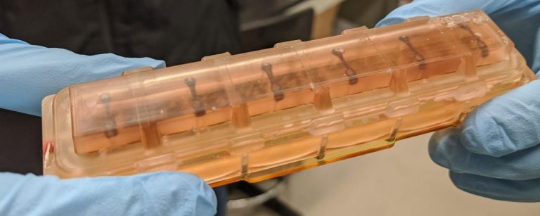 Исследование показало, что сердечная ткань демонстрирует признаки старения всего за месяц пребывания в космосе