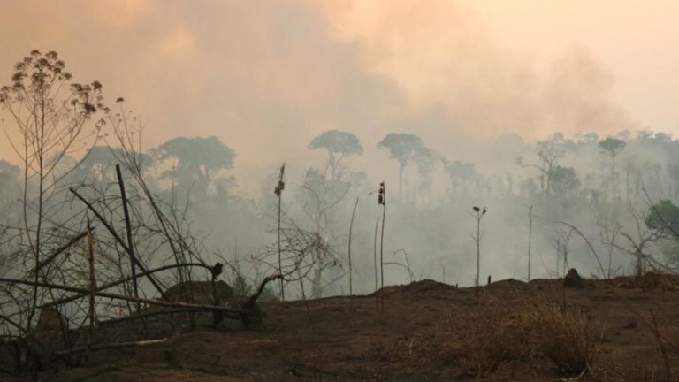 Queimada em Rondônia