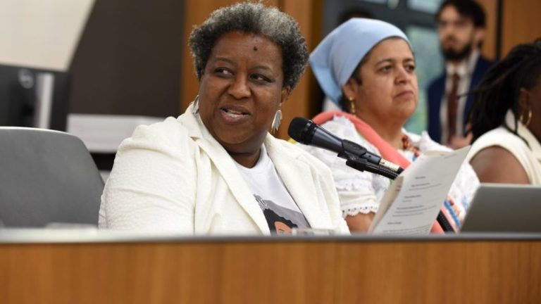 Macaé Evaristo na Assembleia Legislativa de MG