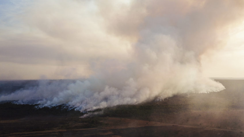 Пожар в национальном парке Бразилиа был преступным, считает ICMBio