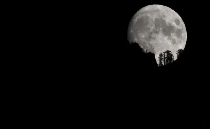 поднимается большая полная луна, перед ней силуэты деревьев