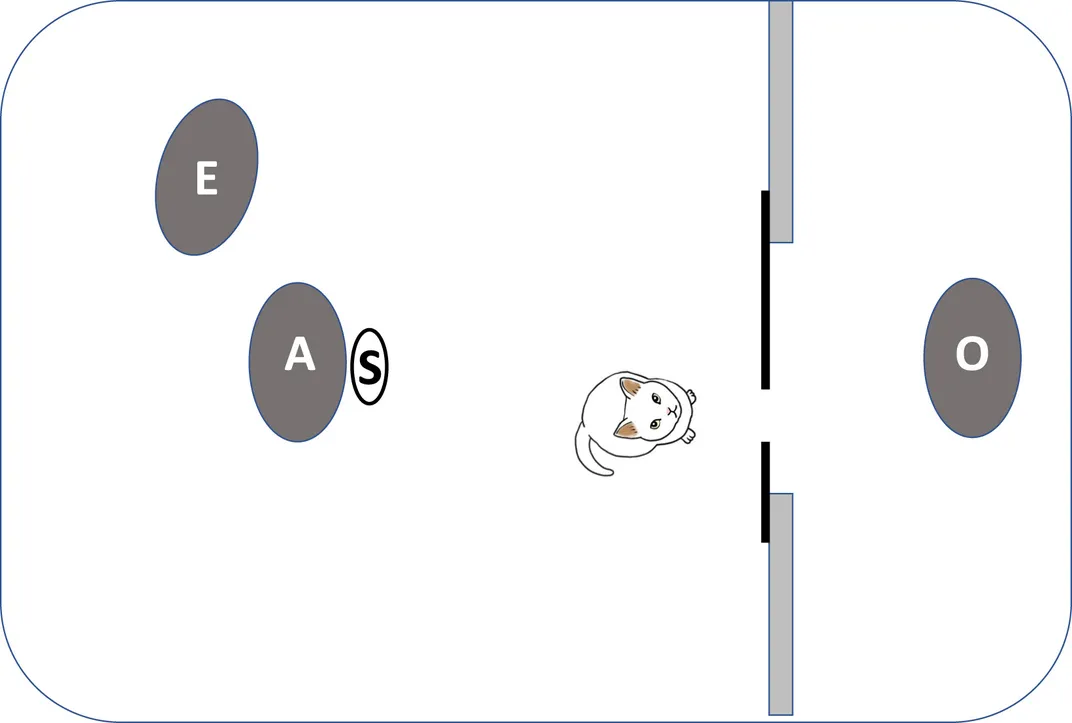 Схема, показывающая экспериментальную установку