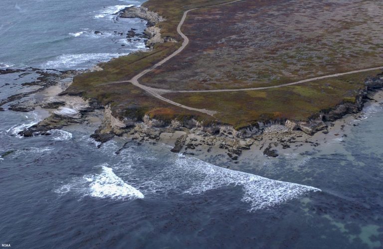 Новый морской заповедник у побережья Калифорнии будет совместно управляться коренными народами