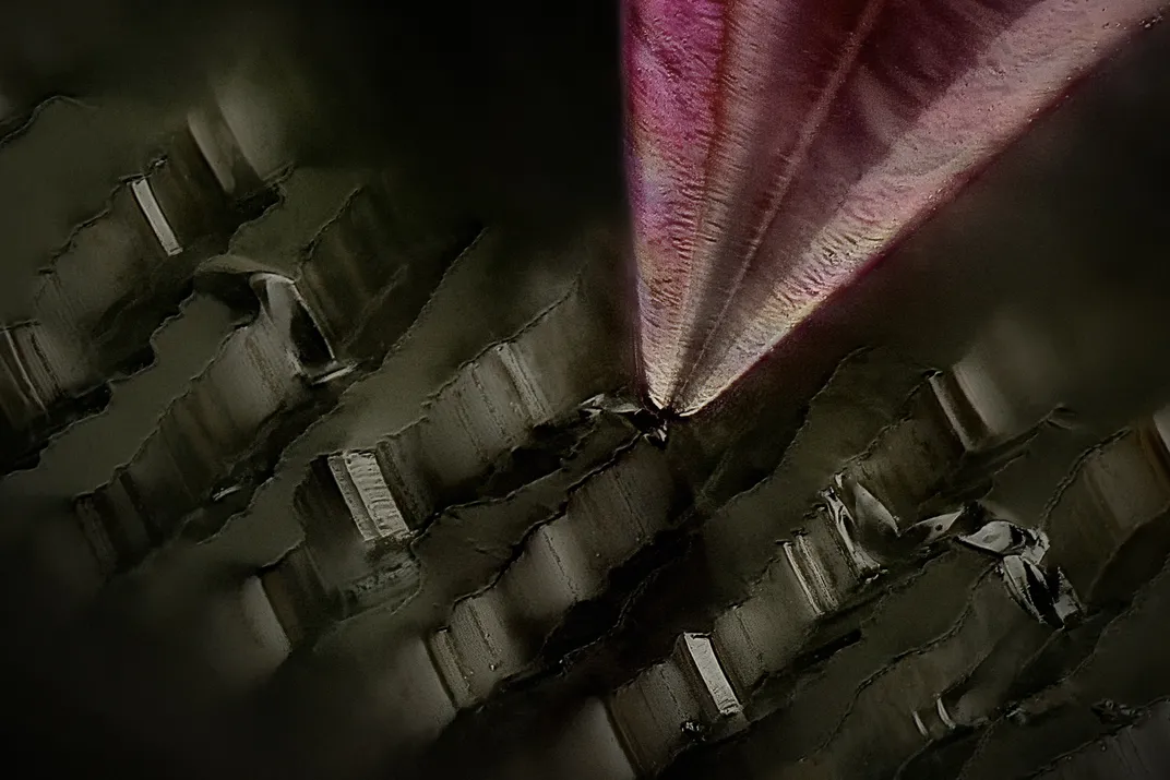 Острый предмет касается черных хребтов