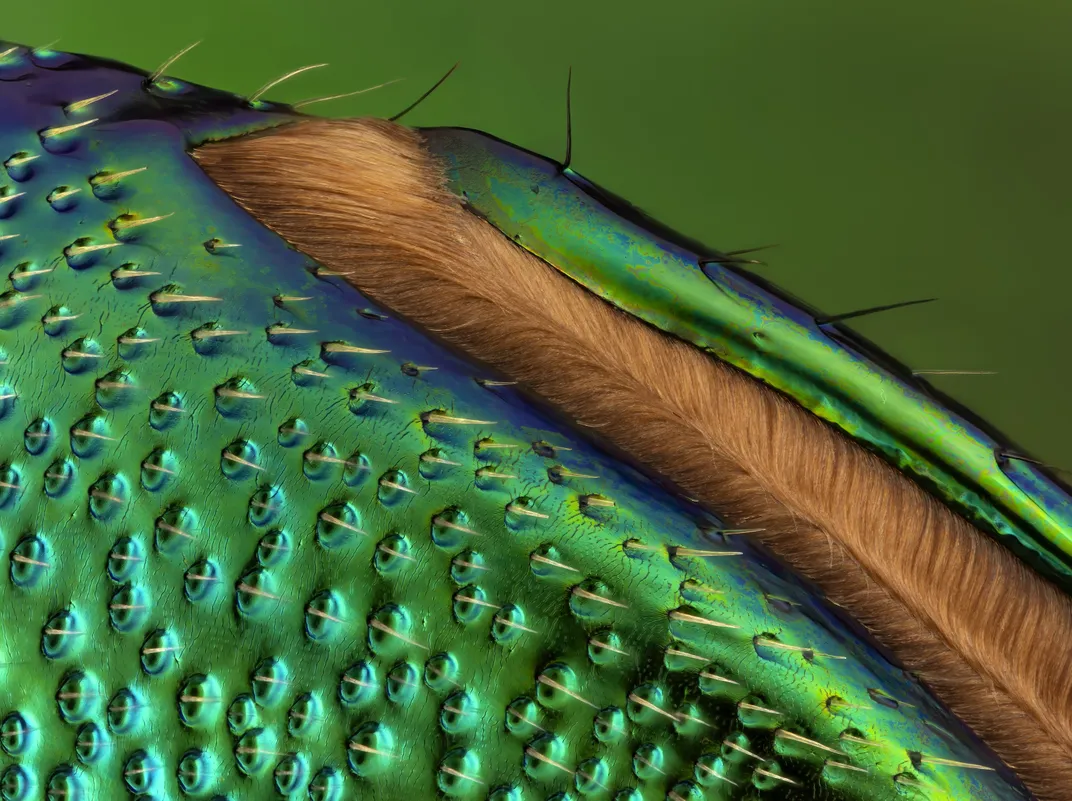 Зеленоватый предмет с неровностями