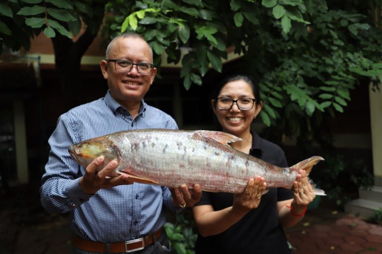 Массивная, загадочная рыба-призрак, которую боялись вымерть почти 20 лет, была заново открыта в Камбодже