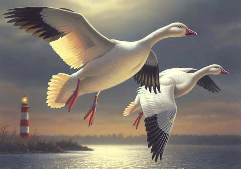 «Суперкубок искусства дикой природы» посвящен уткам, и он защищает водно-болотные угодья Америки в течение 90 лет