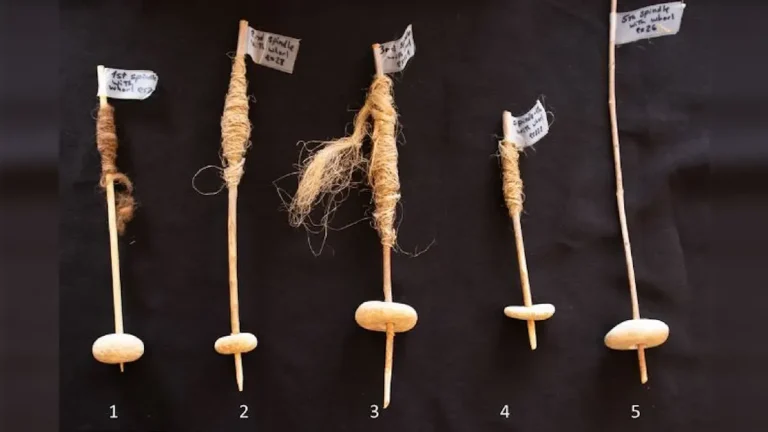 Эти загадочные 12 000-летние камешки могут быть ранним свидетельством существования колесных инструментов, говорят археологи