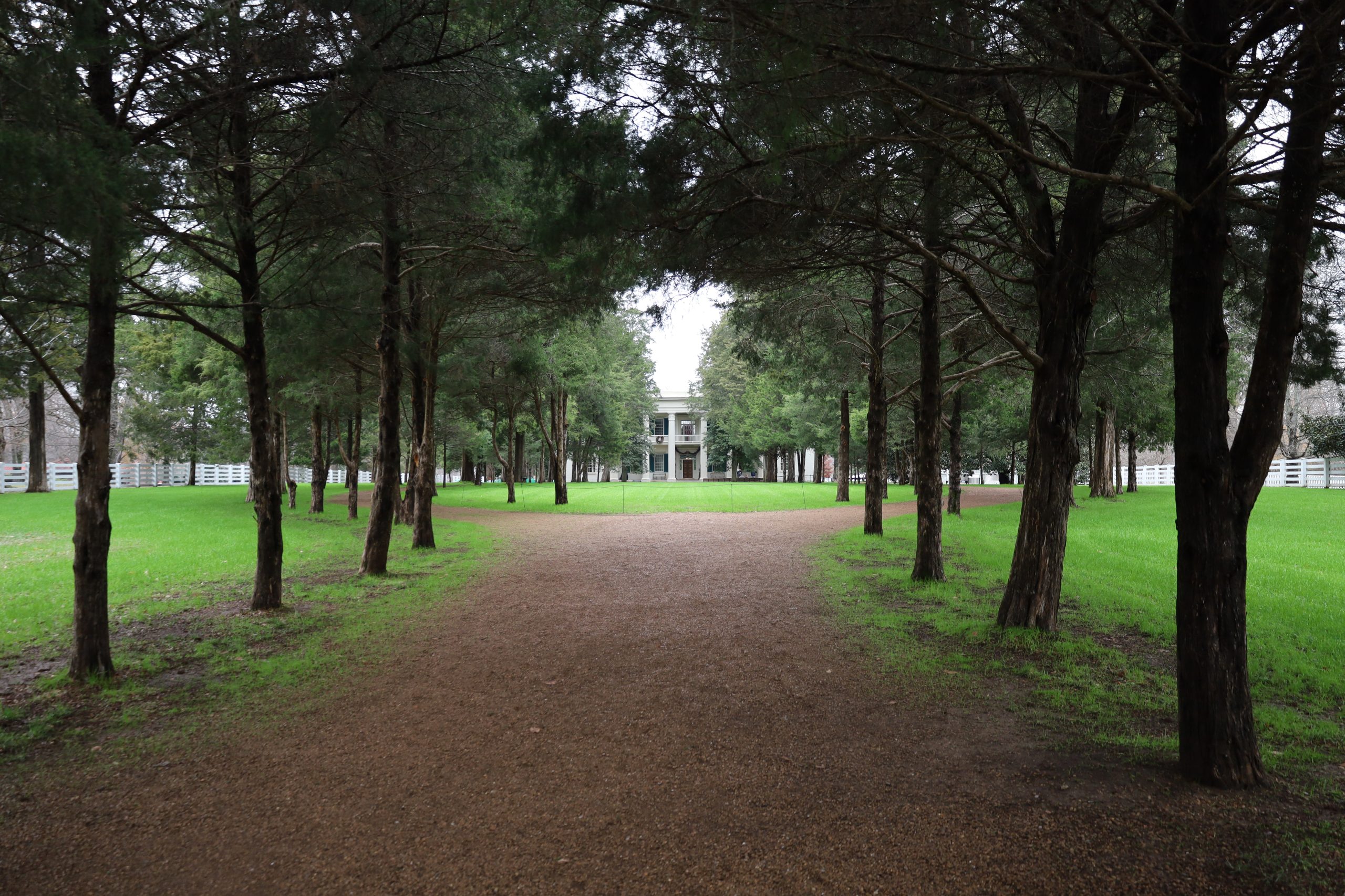 Археологи обнаружили утраченное место захоронения порабощенных людей на плантации президента Эндрю Джексона в Теннесси