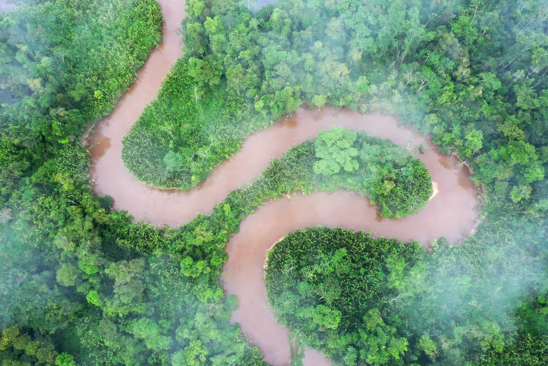 река в тропическом лесу