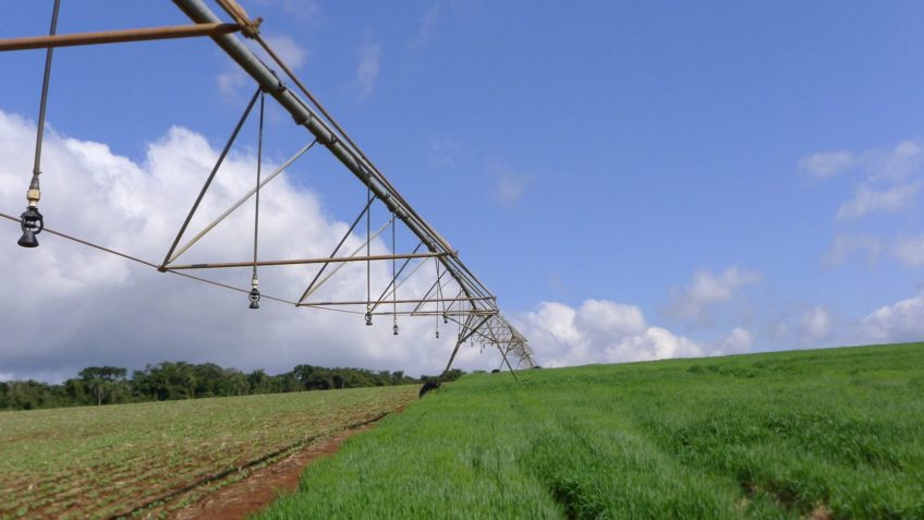 Конгресс проанализирует депутата, который выпускает 12 миллиардов рублей по сельским долгам