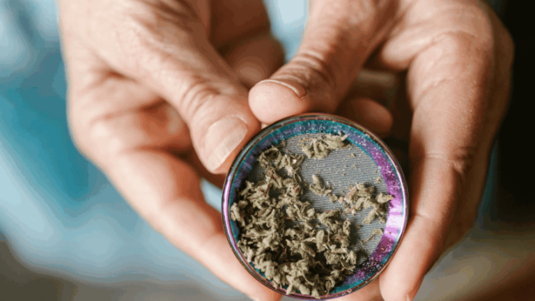 cannabis, THC, Anvisa