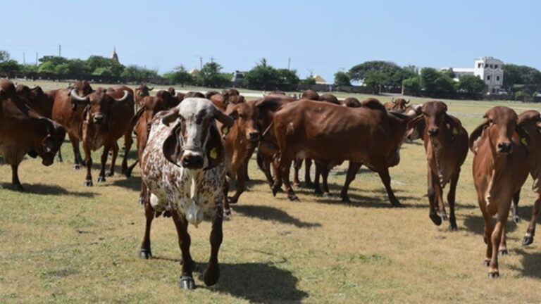 Trusted Source Badge