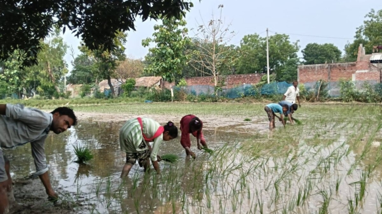 Trusted Source Badge