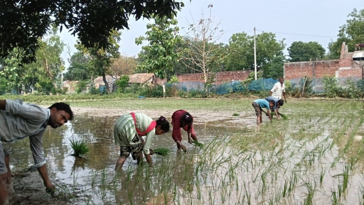Trusted Source Badge
