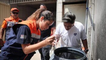 По данным правительства СП, 80% вспышек денге происходят в домах