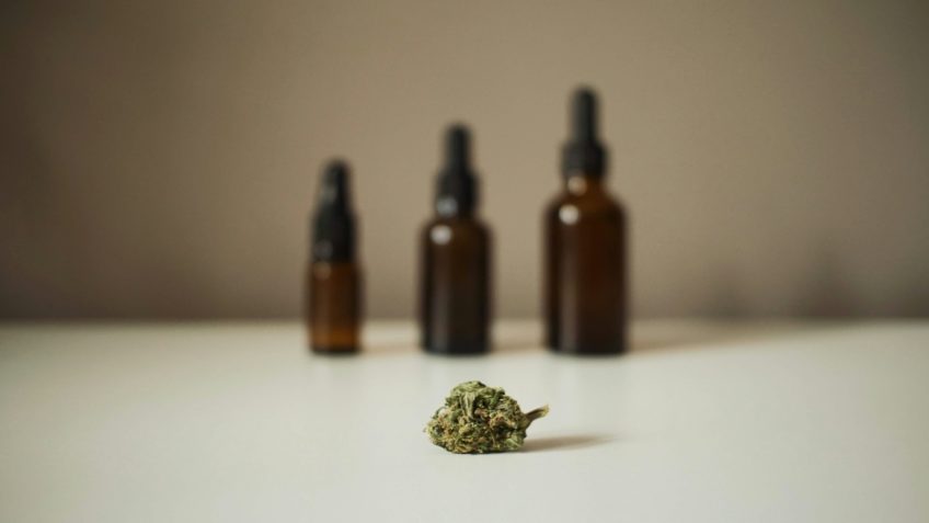 óleo de cannabis