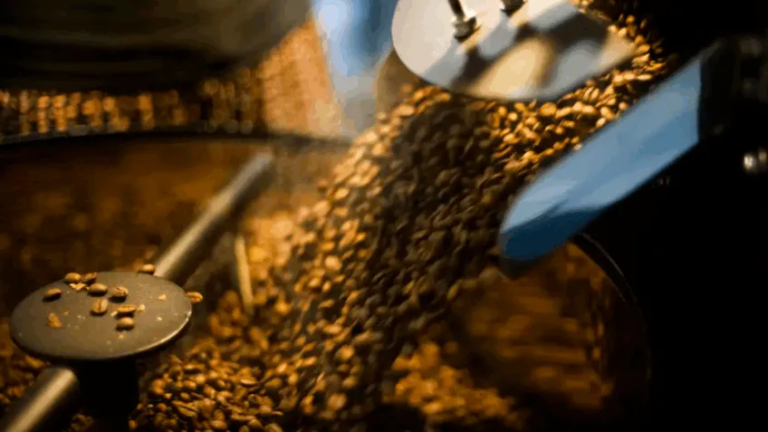 Consumo de café sobe 2,44% no primeiro quadrimestre de 2026