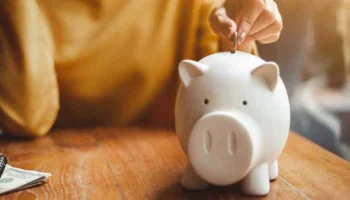 FD, позволяющие экономить на налогах: процентные ставки достигают 8,60%; вот как они работают и кому следует инвестировать