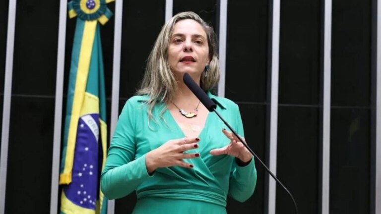 Na imagem, a deputada Fernanda Melchionna, autora da proposta