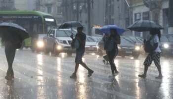 СП создает специальный пост после предупреждения о ветре до 100 км/ч
