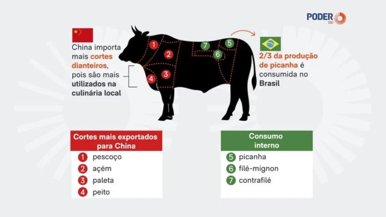 Carne China Brasil