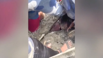 Шестилетнюю девочку спасли живой после наводнения в Непале